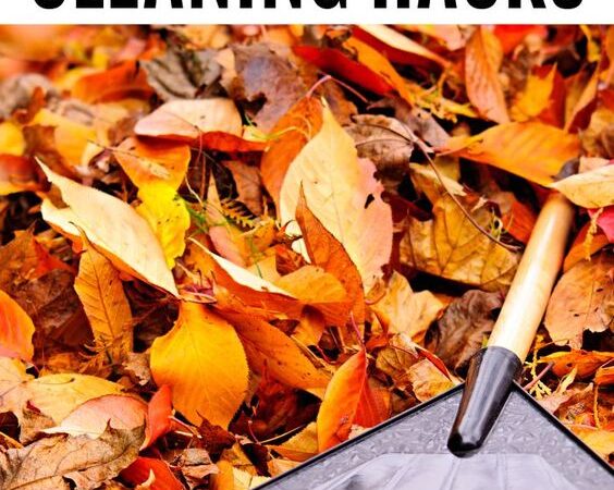 EMBRACE THE SEASON: FALL CLEANING HACKS AND TIPS FOR A COZY HOME