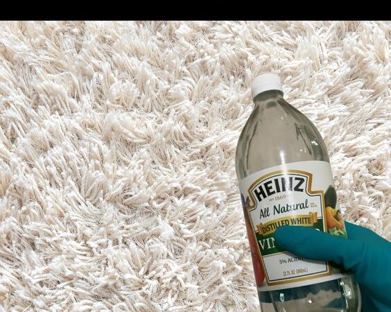 How to get red wine out of carpet